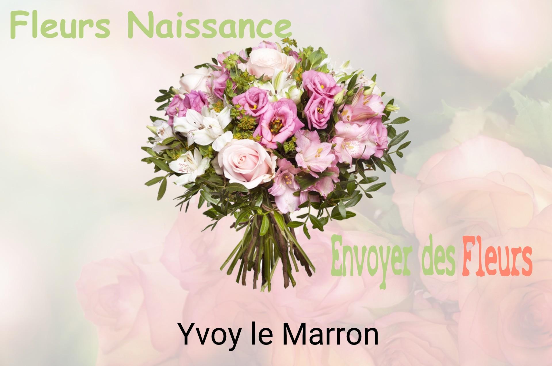Bouquet de fleurs de naissance livré à Yvoy-le-Marron